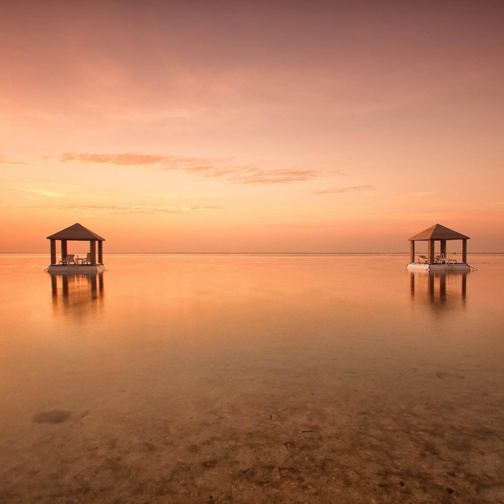 Розовый закат