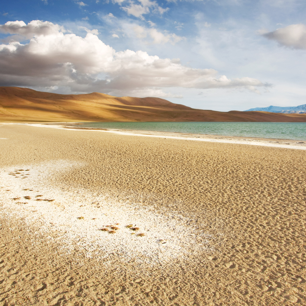 Чистый морской пляж