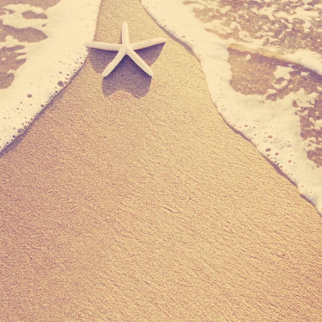 Морская звезда на пляже