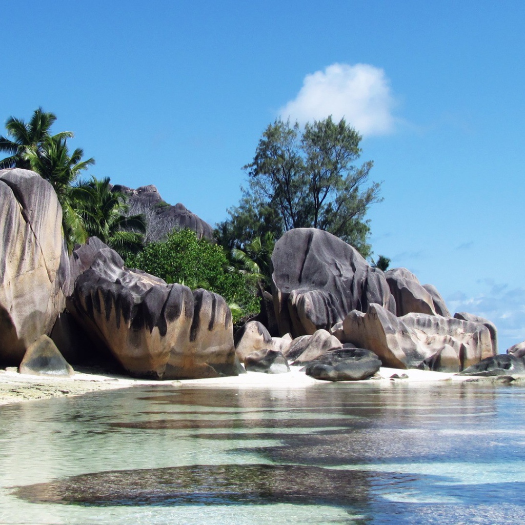 Причудливые формы камней на берегу