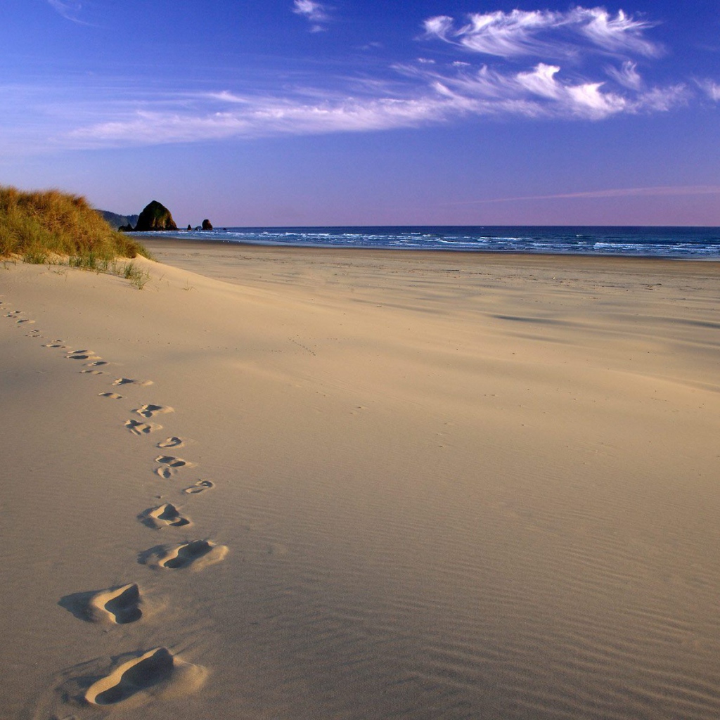 	 Footprints in the sand