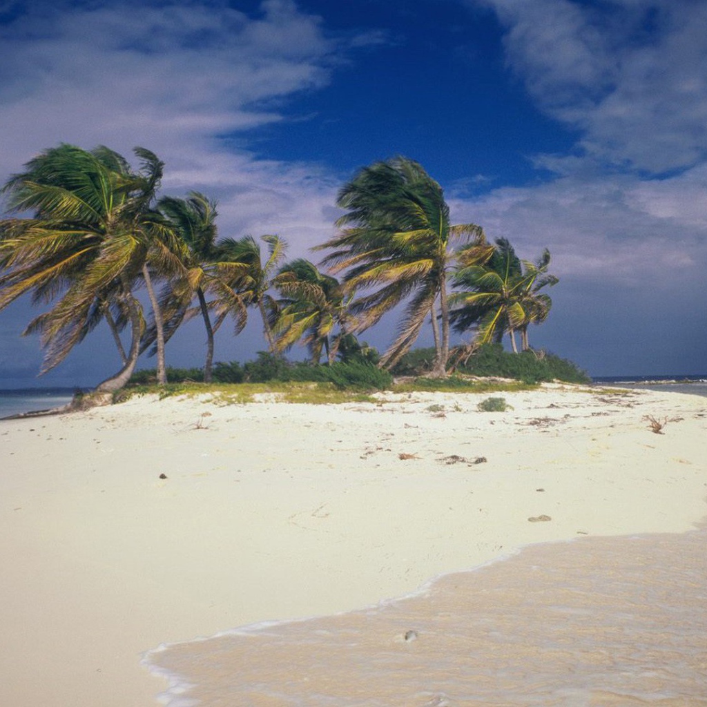 Шторм на пляже