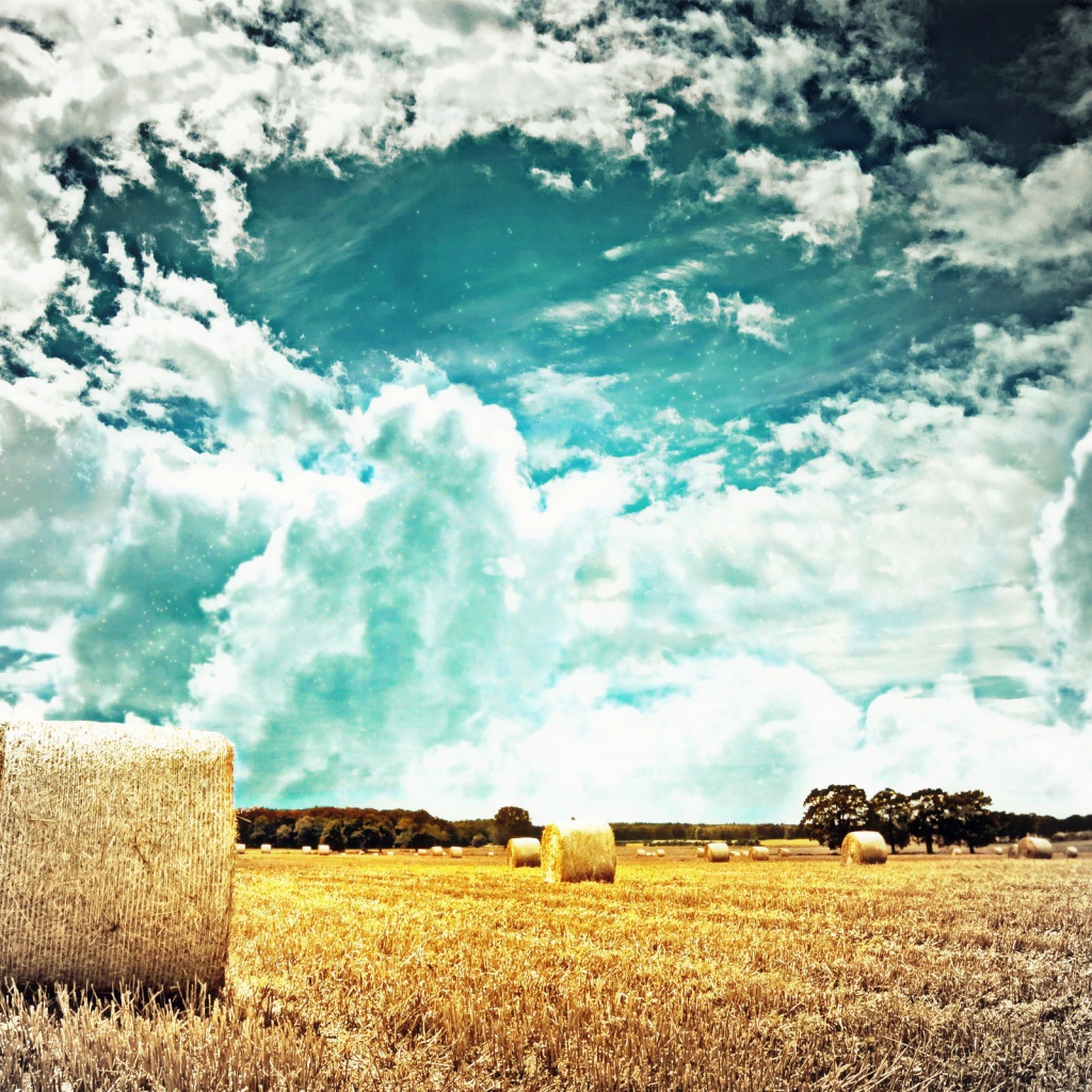 Тучи над полем