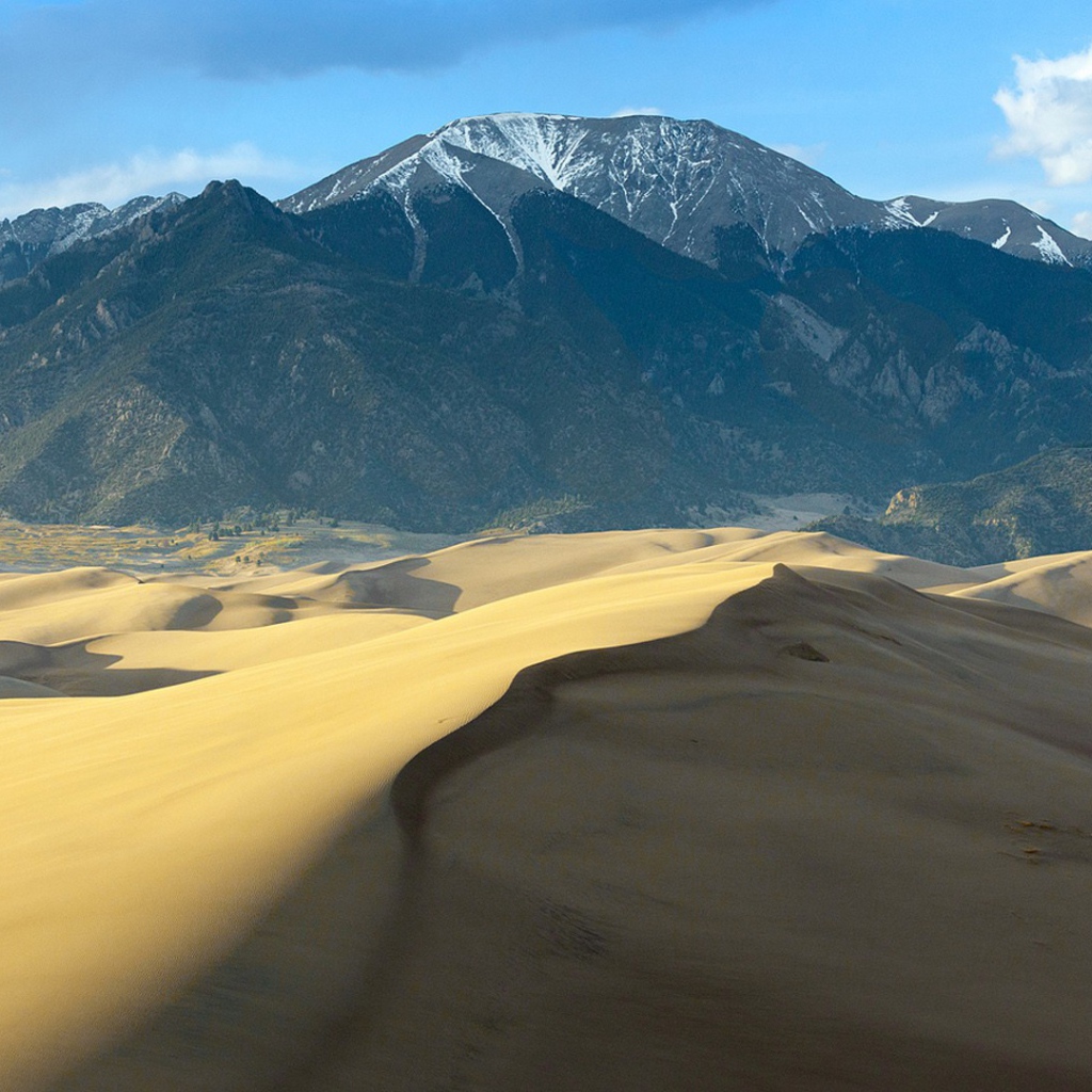 Пустыня у подножия гор