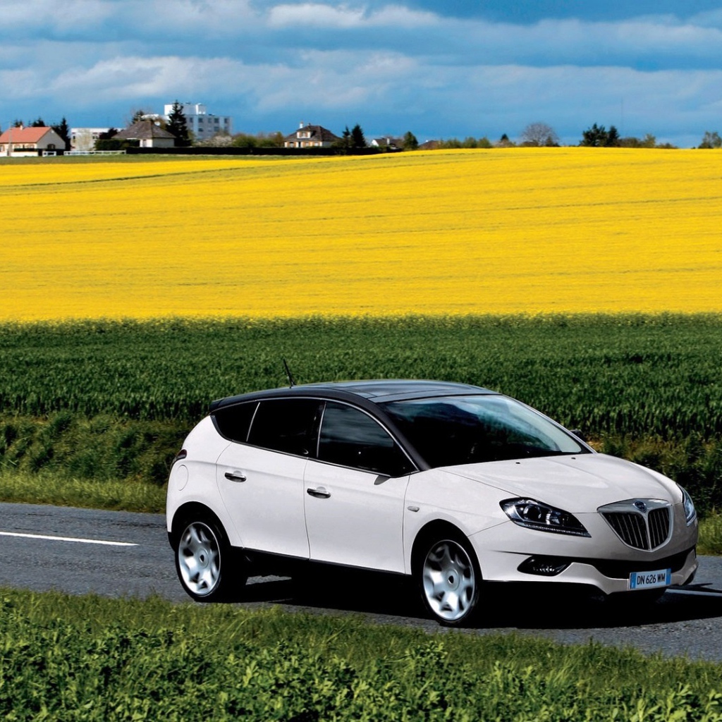 Автомобиль едет среди полей