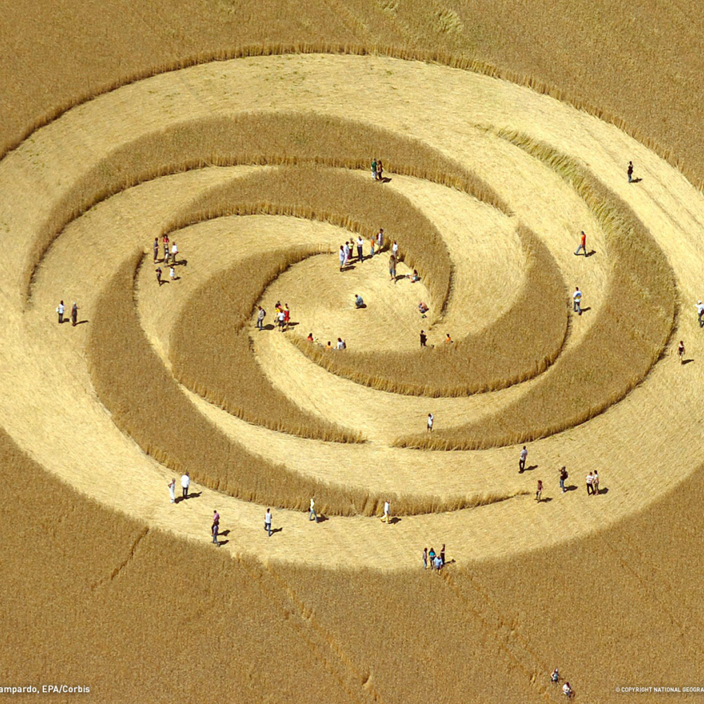 Круг на поле