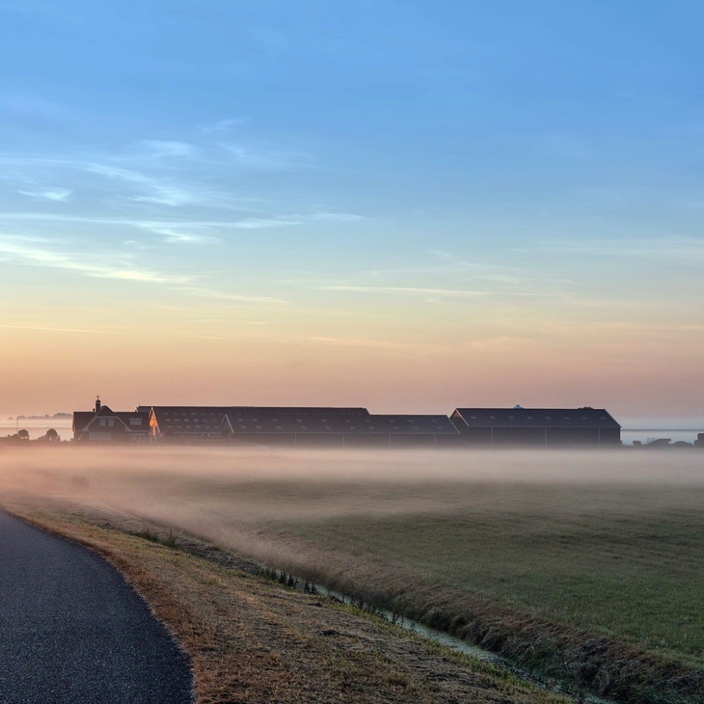 Раннее утро на поле