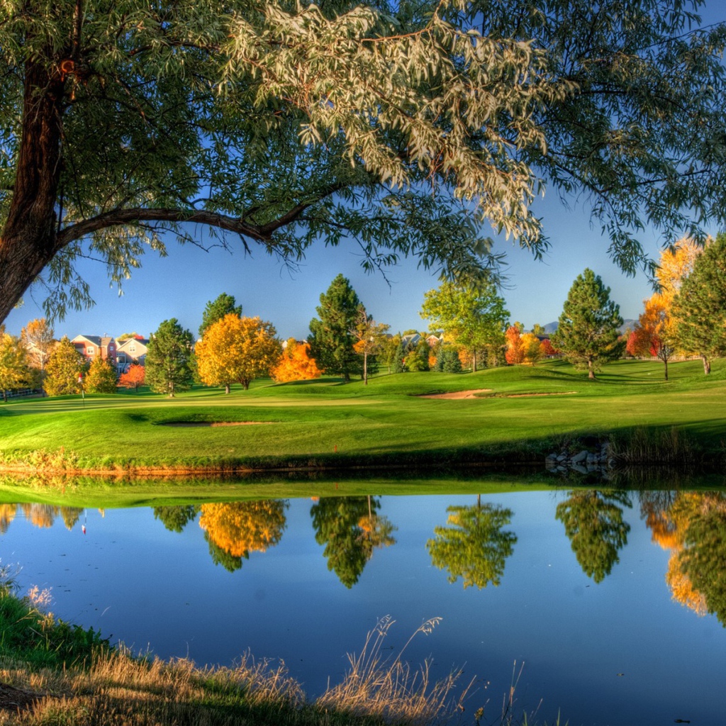 Поле для игры в гольф осенью