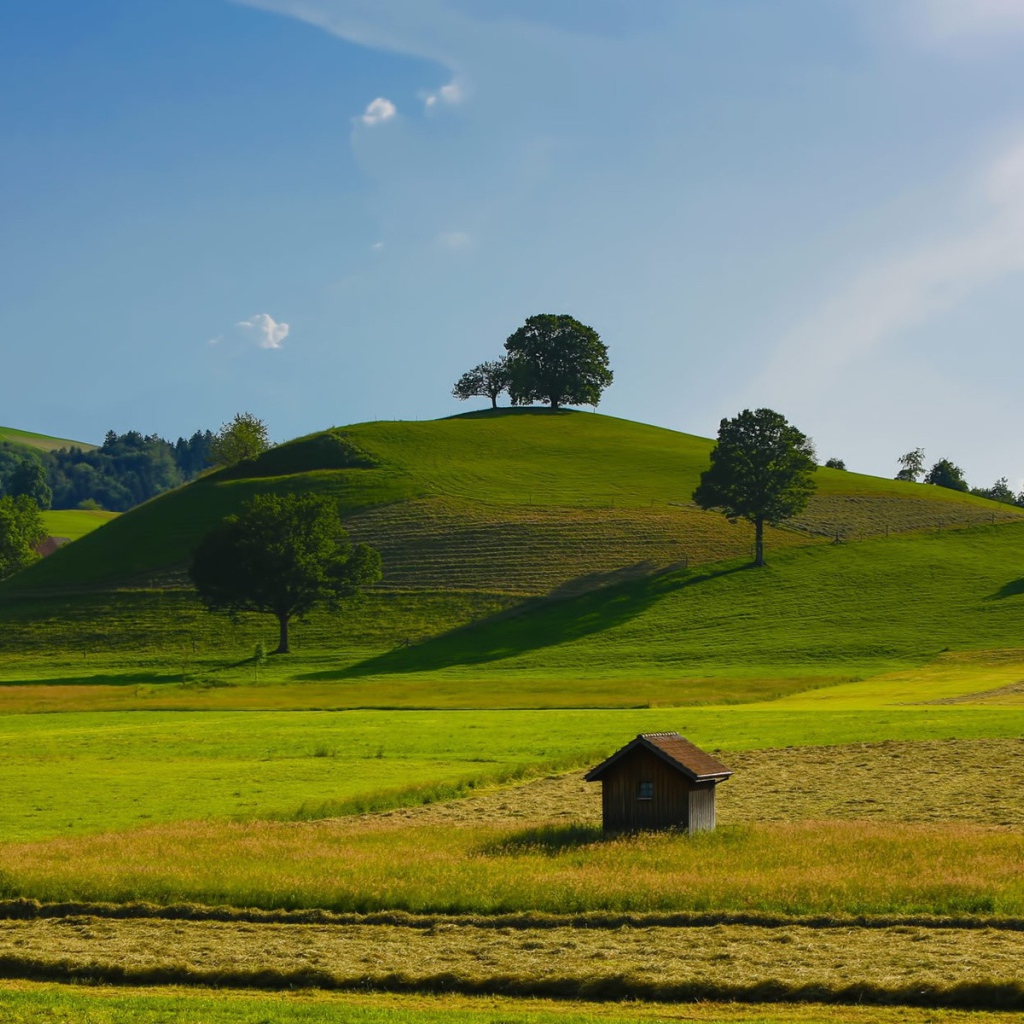 Урожайные поля