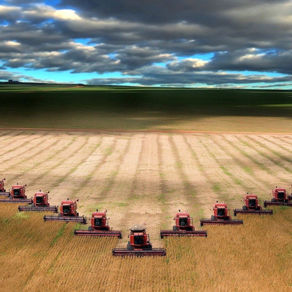 Уборка урожая