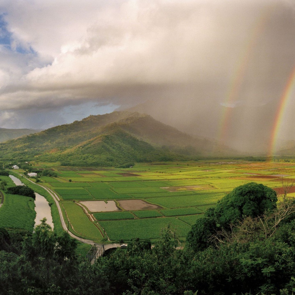 На Гавайях дождь