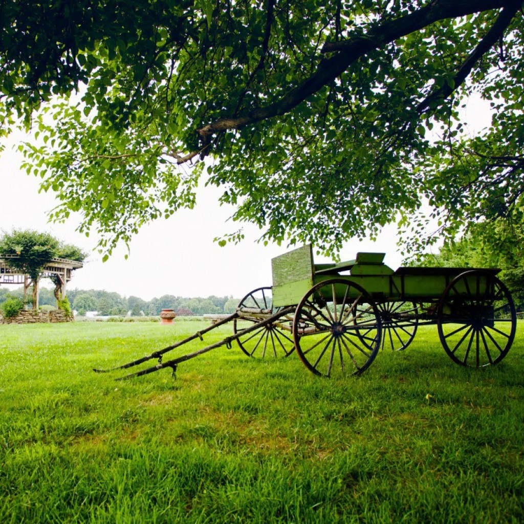 Пейзаж с телегой