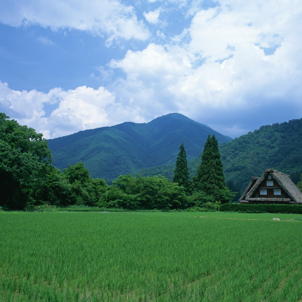 Пейзаж с домами