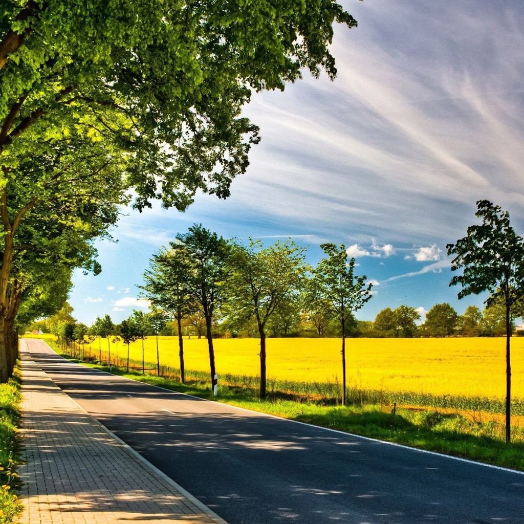 Старые и молодые деревья