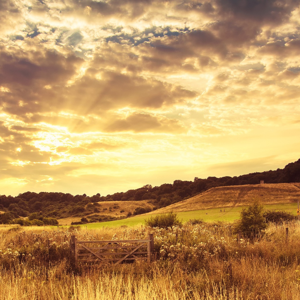 Закат на осеннем поле