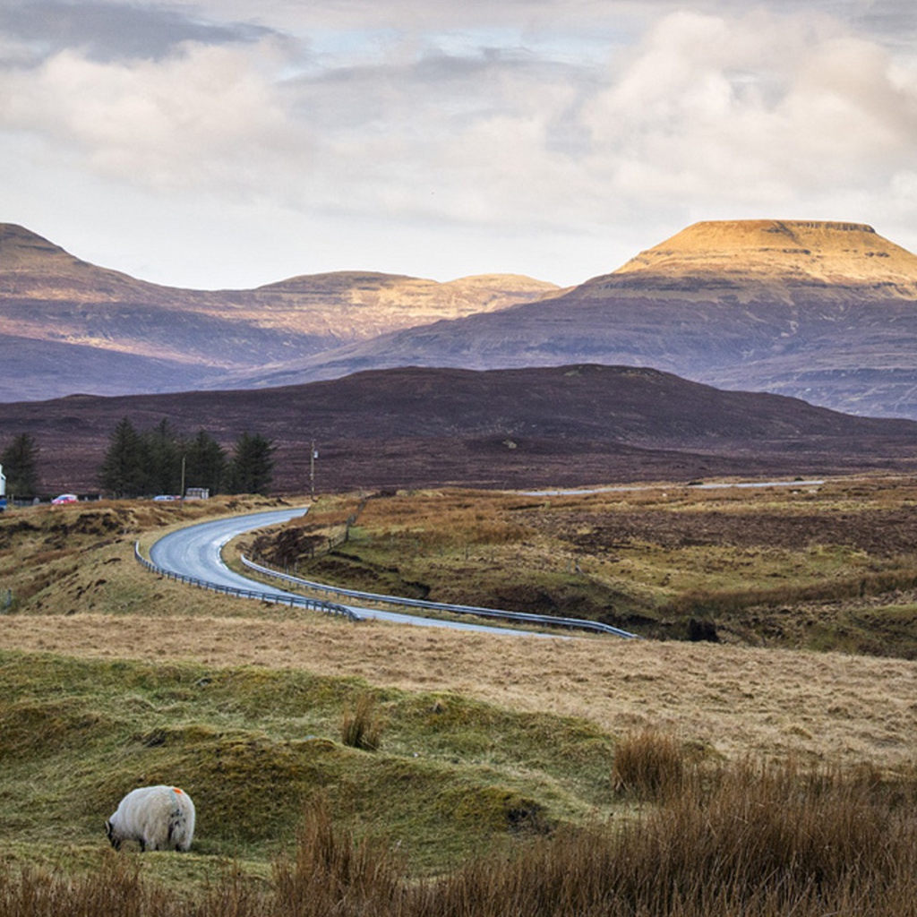 Дорога через поле в горы