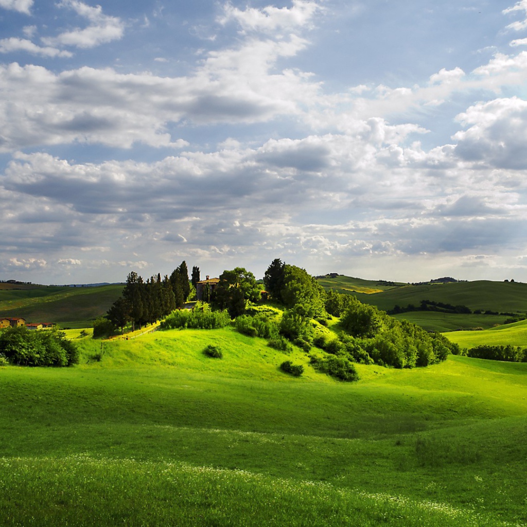 Изумрудно зеленые  холмы