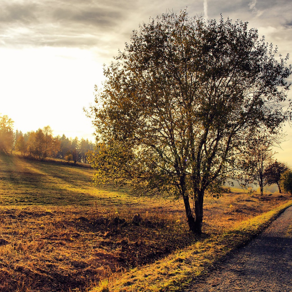 Деревенский пейзаж на закате