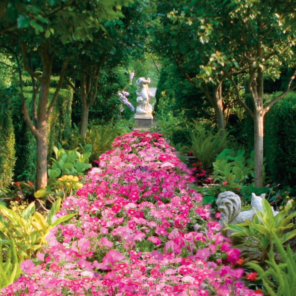 Аллея засаженная цветами