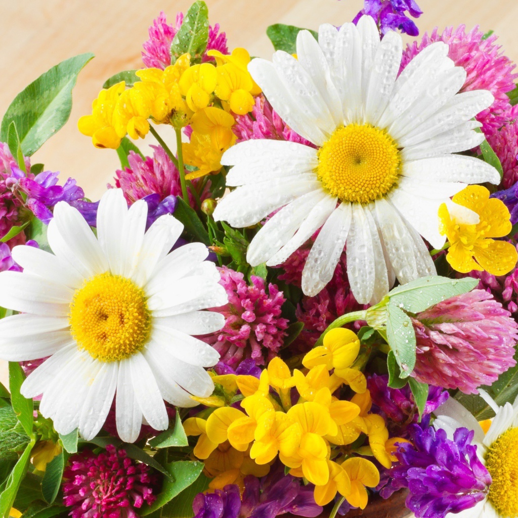 Букет из полевых цветов