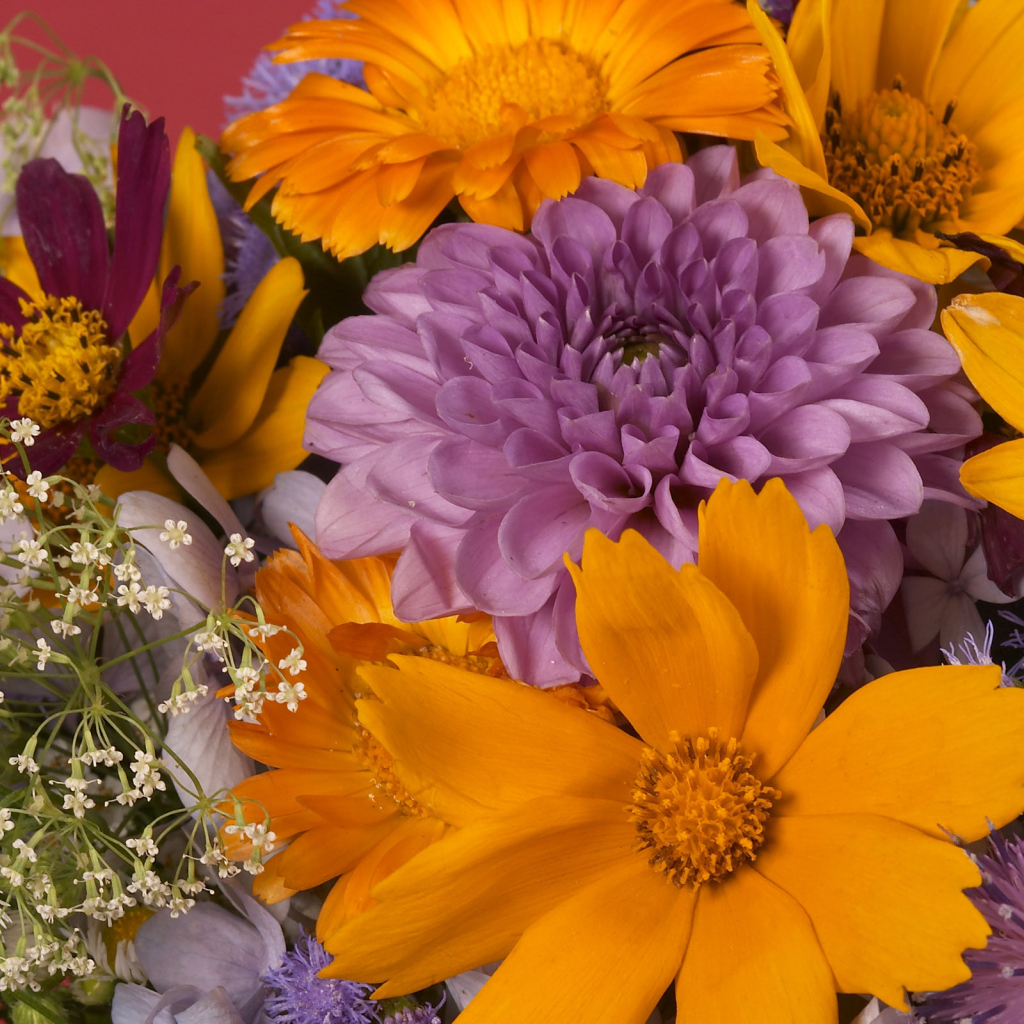 Красочный букет цветов