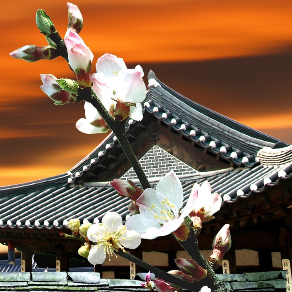 Цветы Японии