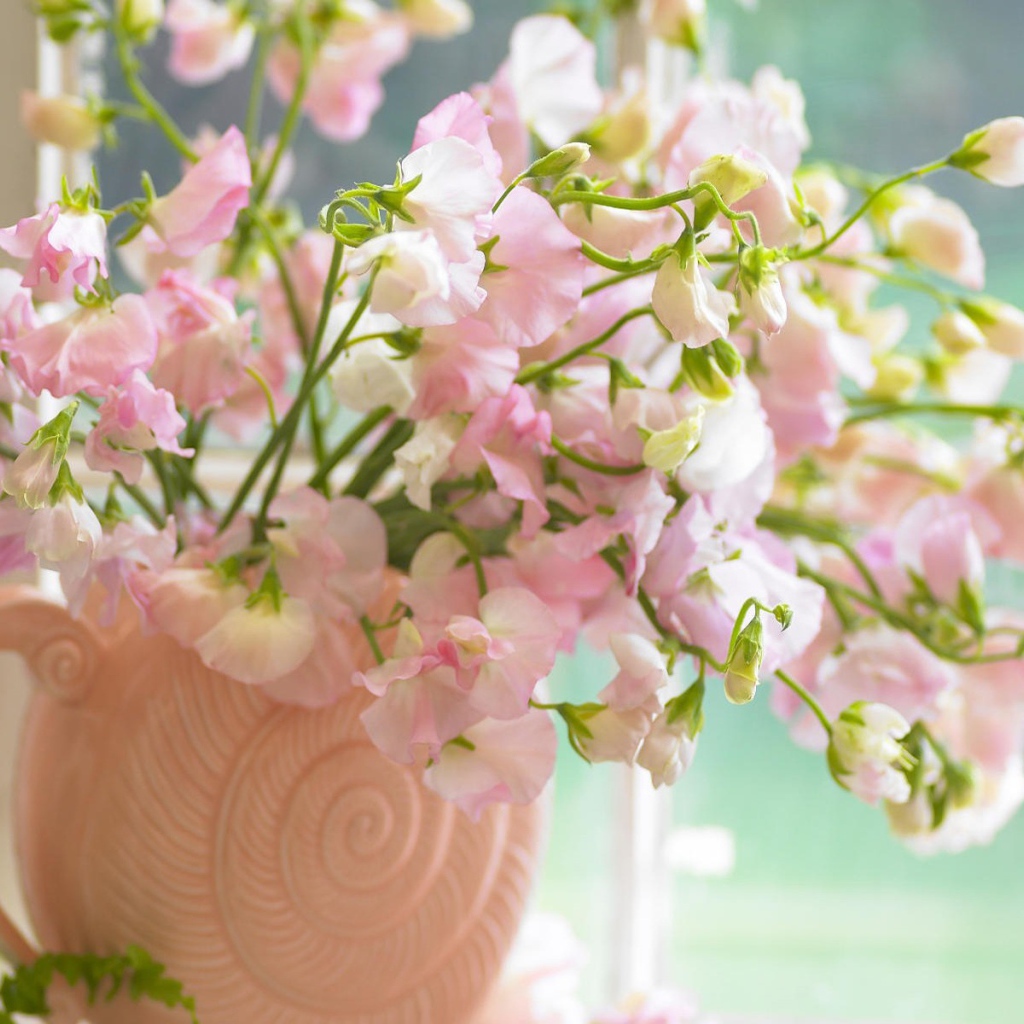 Розовые цветы в вазе