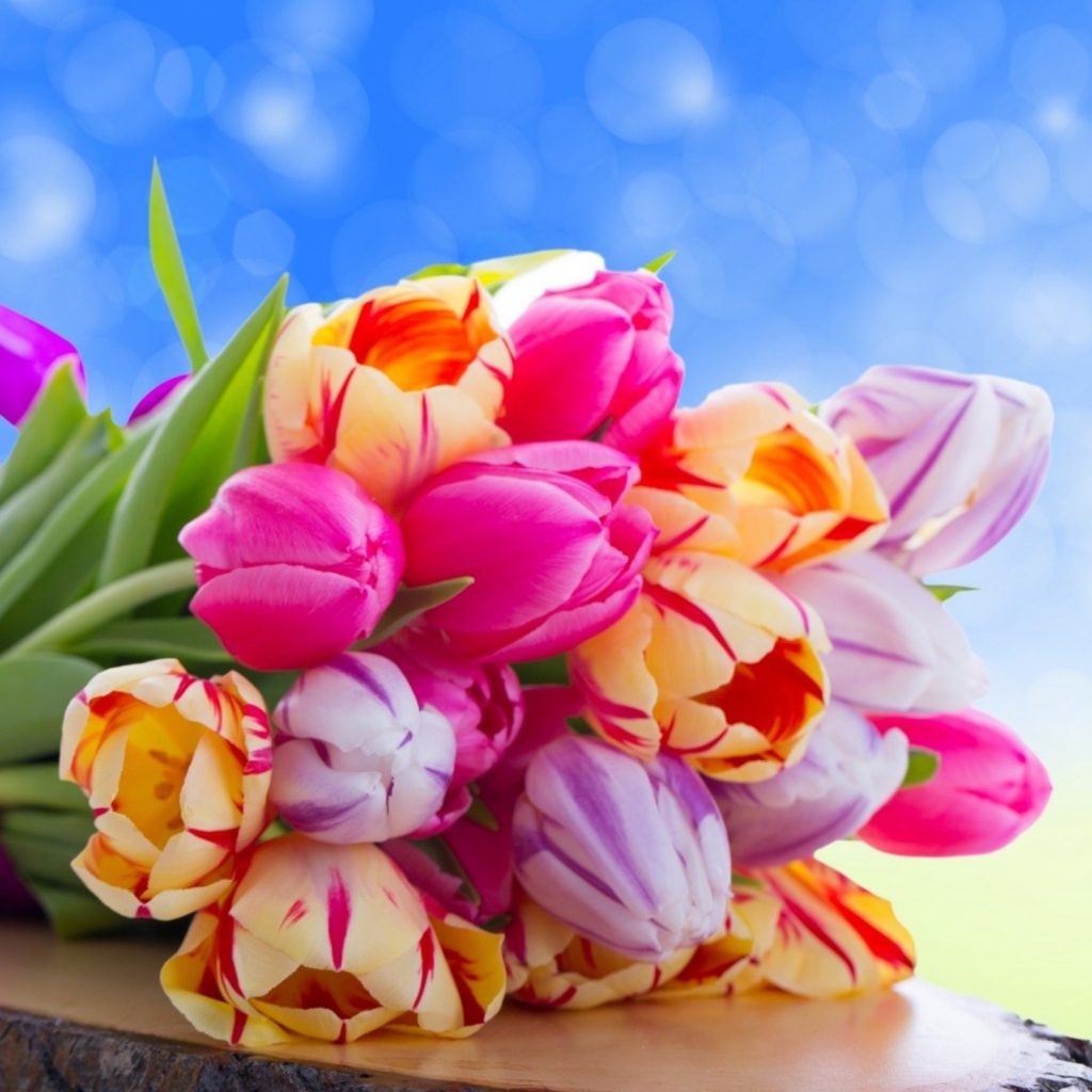 Букет  тюльпанов