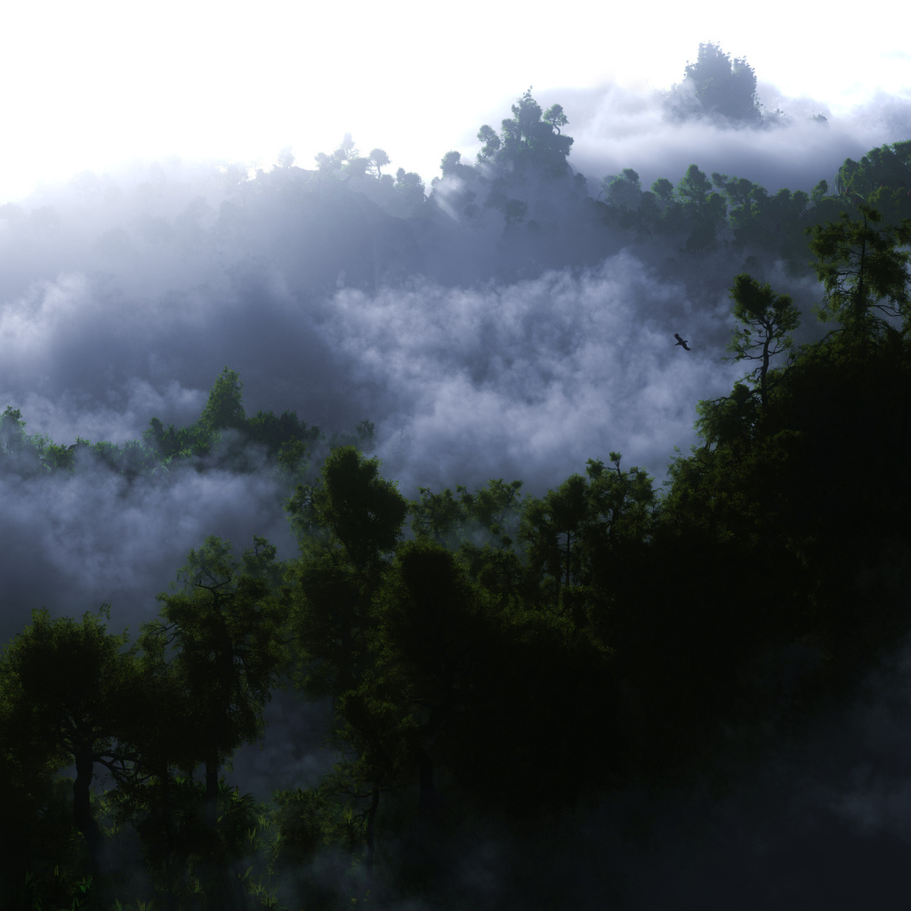 Туман среди деревьев