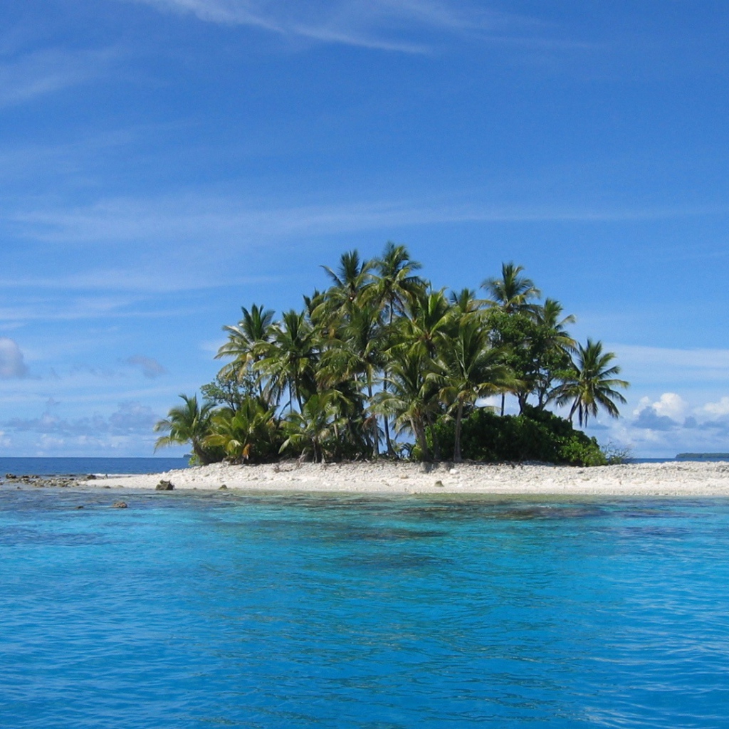 Остров с деревьями