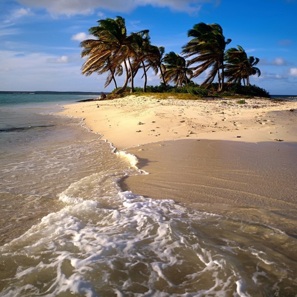 Песчаный Остров с пальмами