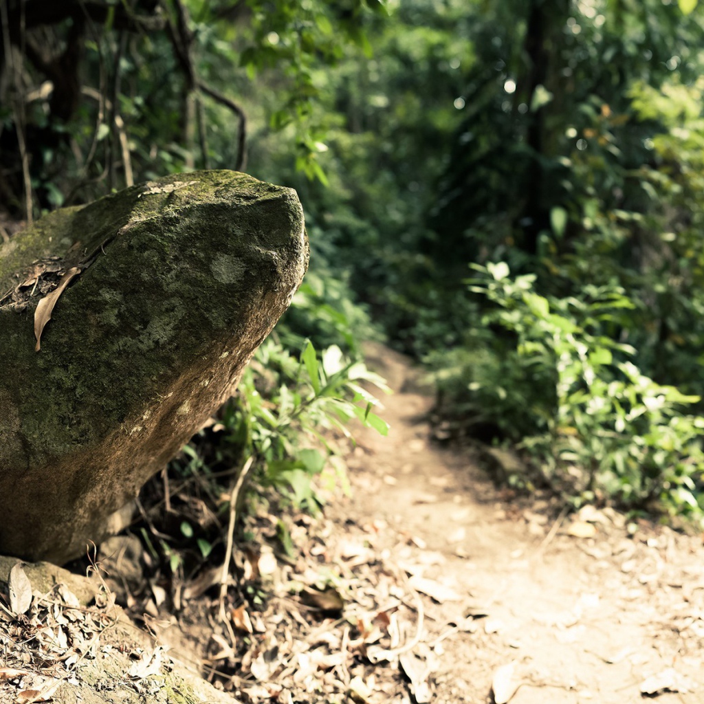 Камень у дороги