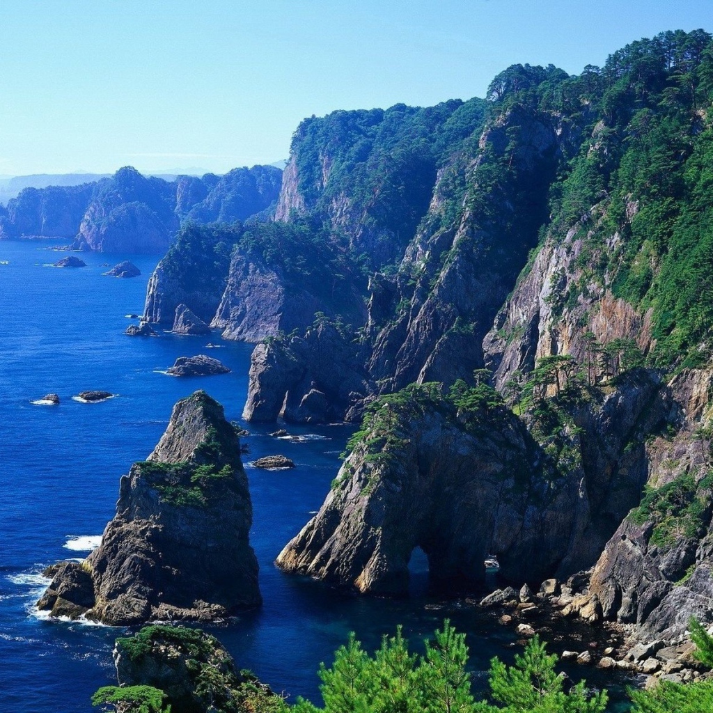 На скалах растет лес