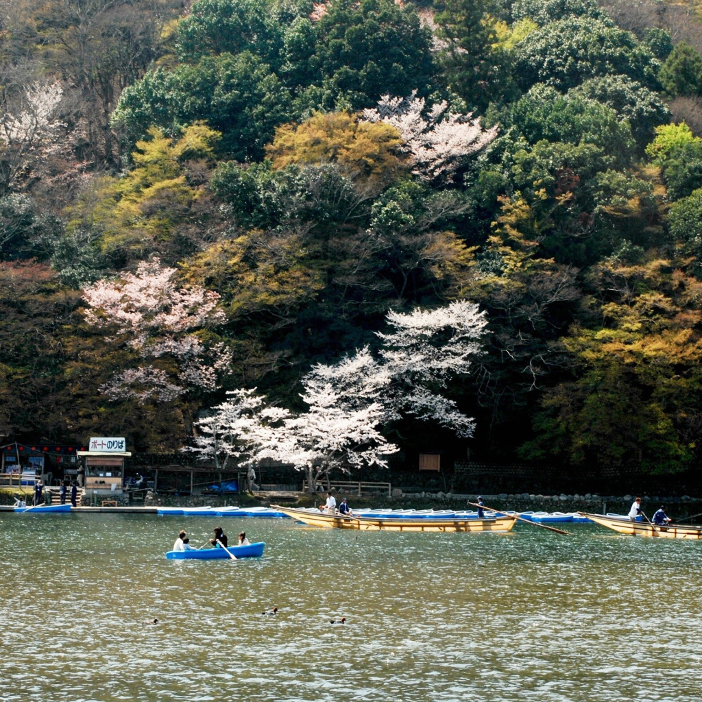 Катание на лодках