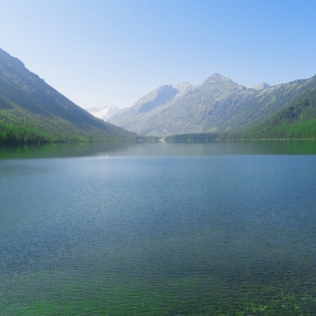 Горный пейзаж с озером и лесом