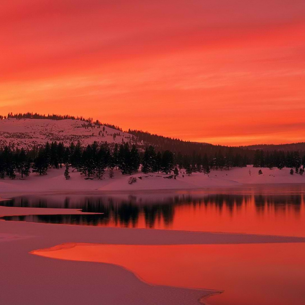 Пейзаж в багровых тонах