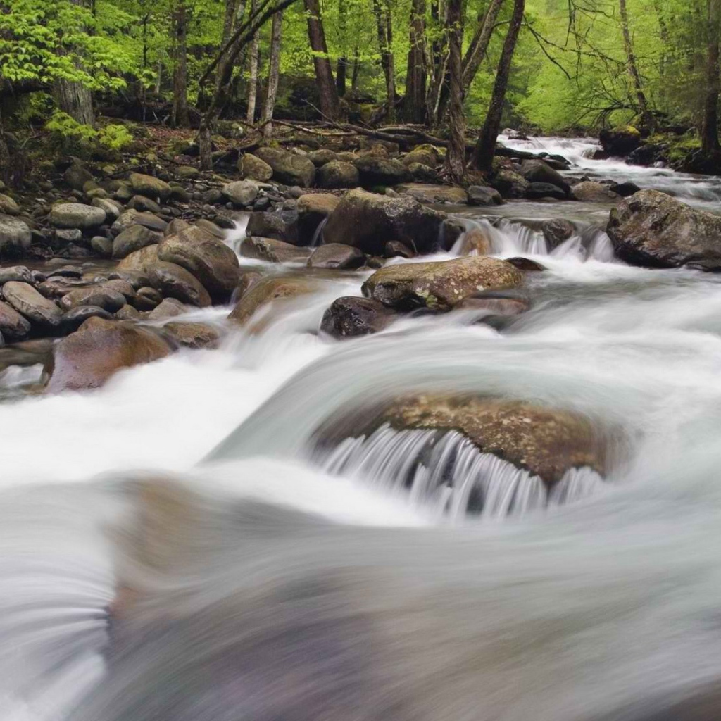 Национальный парк Теннессее