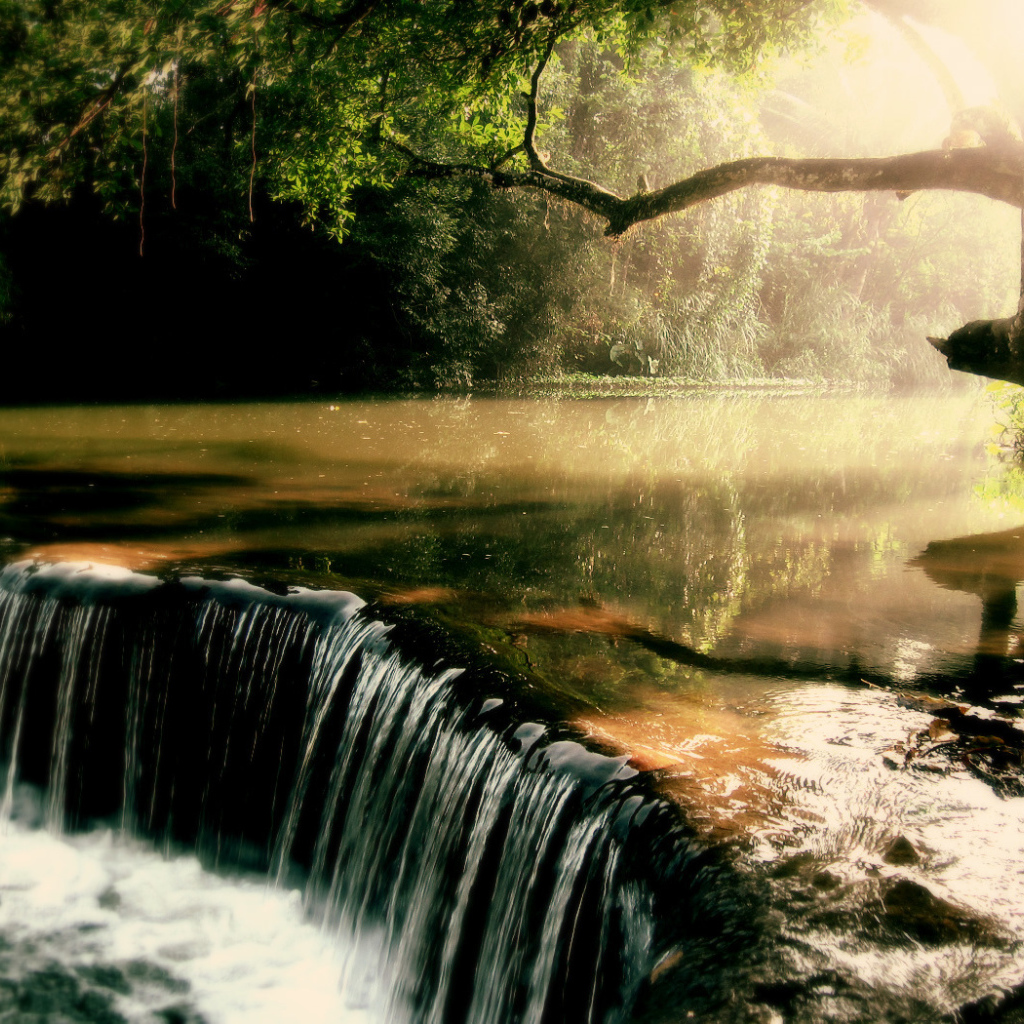 Заросшая река с водопадом