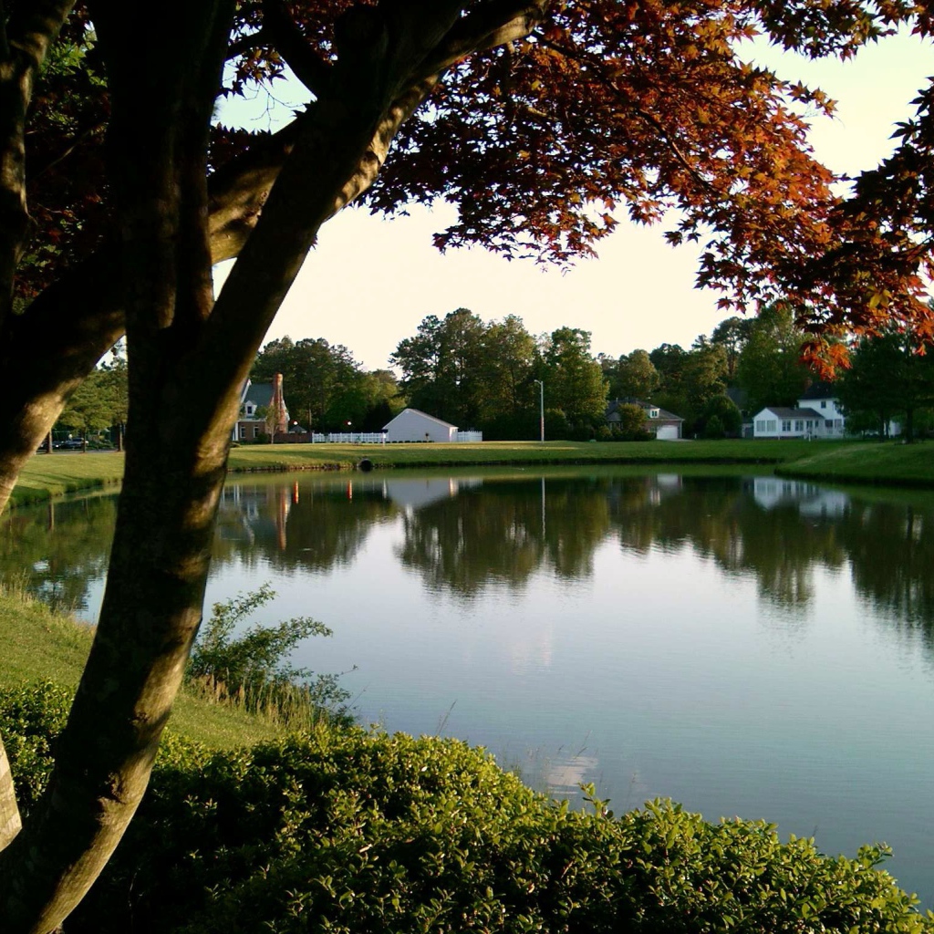 Тихий пруд в Германии