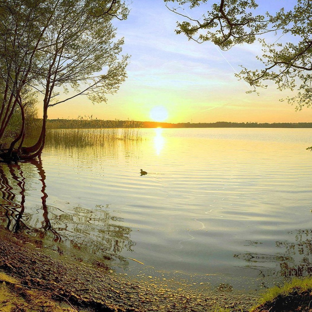 Закат на лесном озере