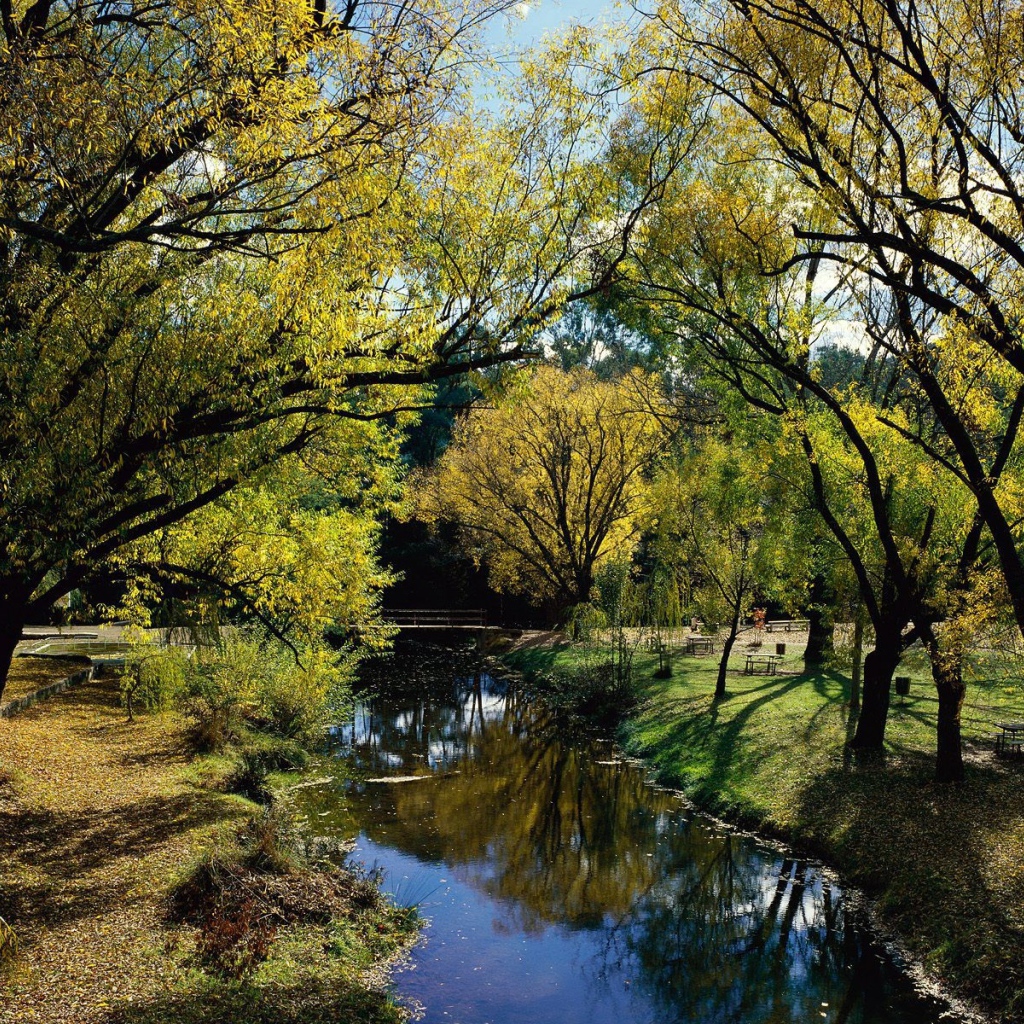 Австралийский пейзаж с рекой