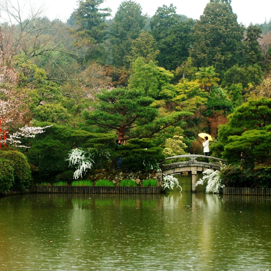 Прогулка под дождем уозера