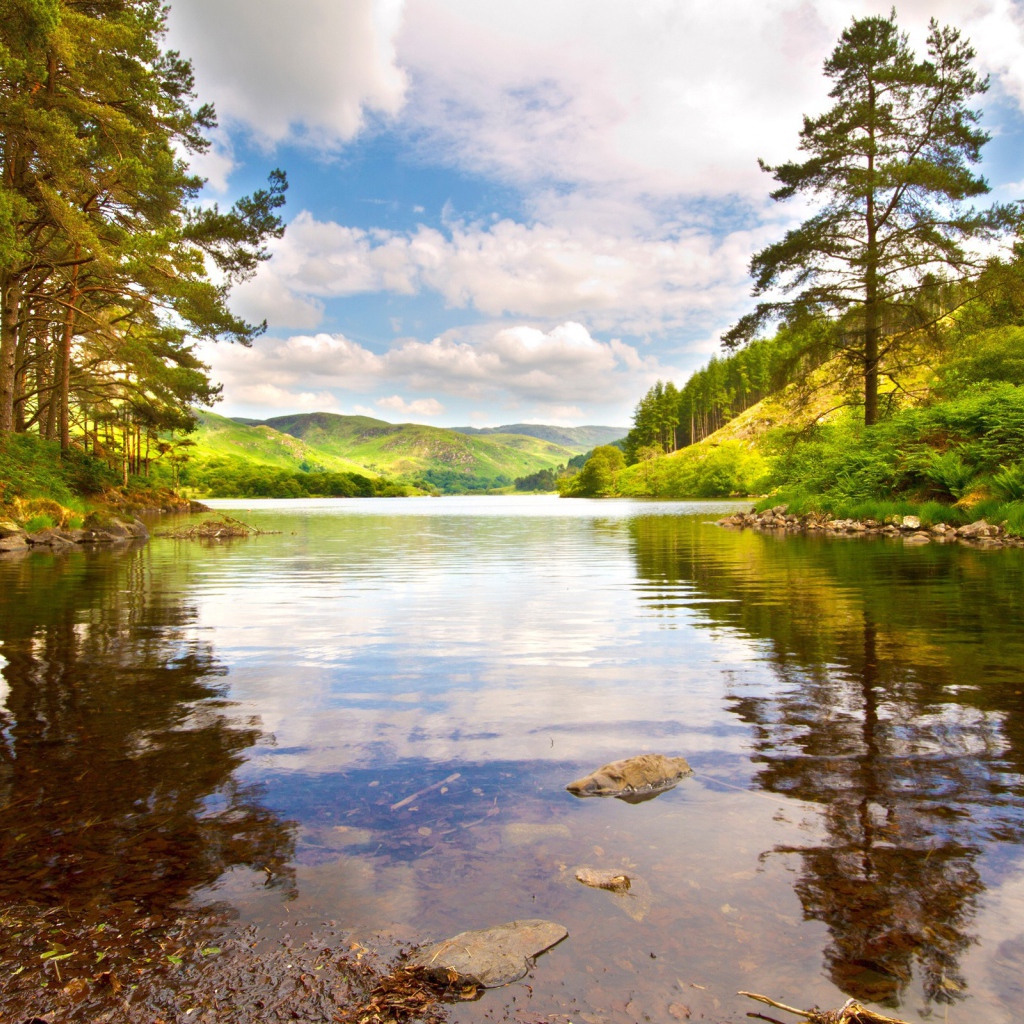 Лесное озеро среди холмов
