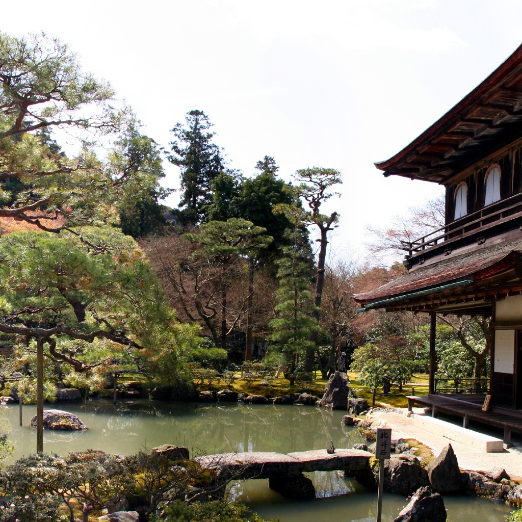 Дом на берегу реки