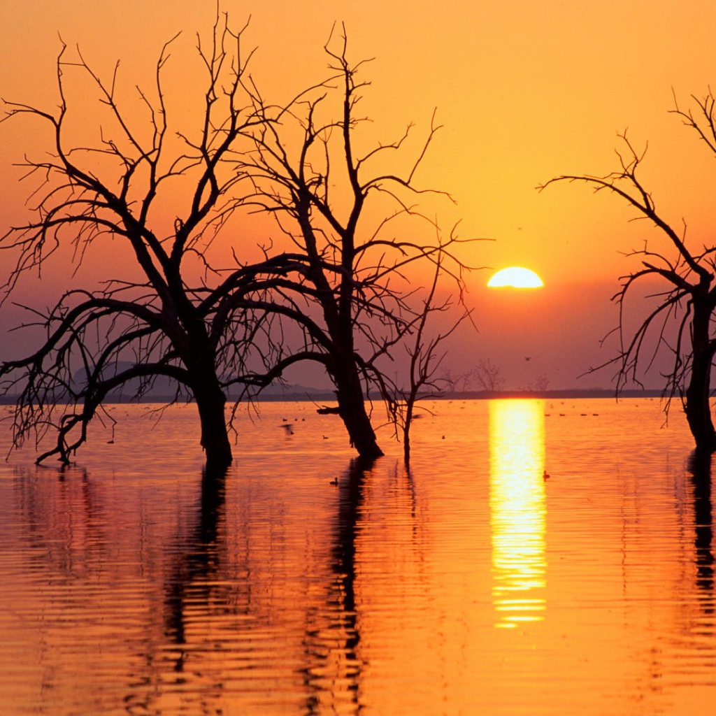 Весеннее половодье в Калифорнии