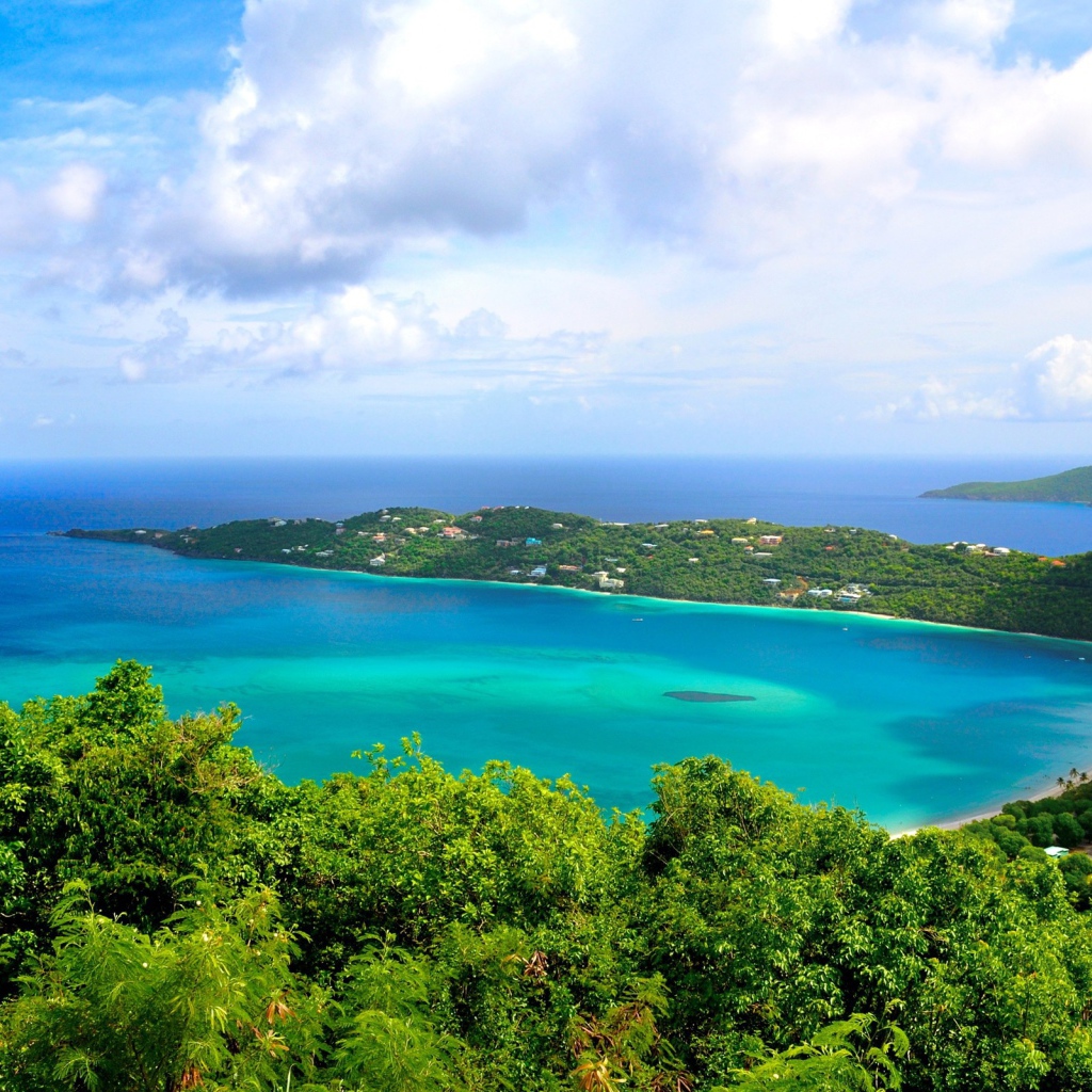 Зеленое побережье океана