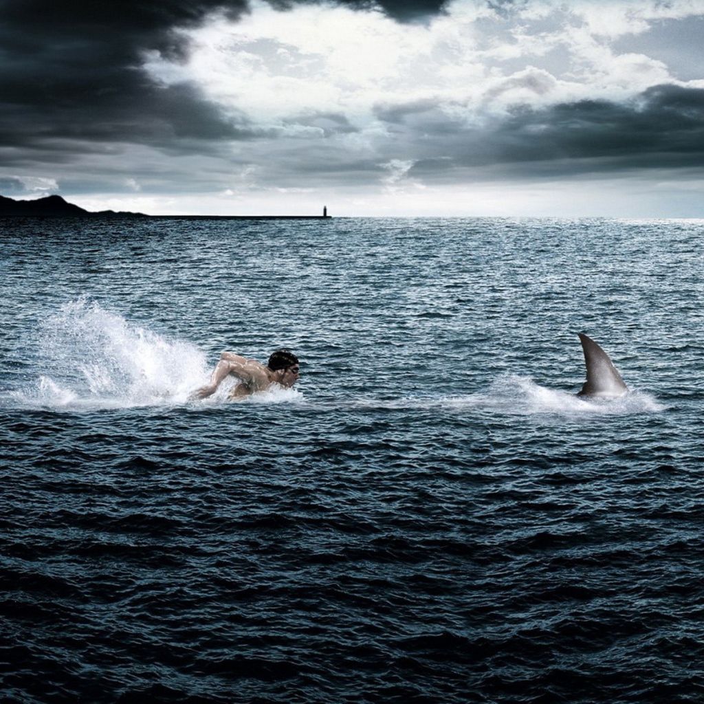Человек плывет за акулой