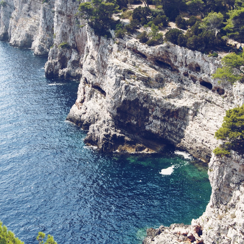 Обрывистый белый берег