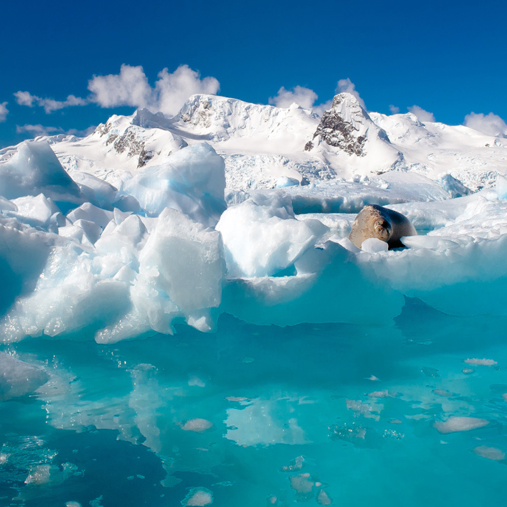 Вода и льды Антарктиды