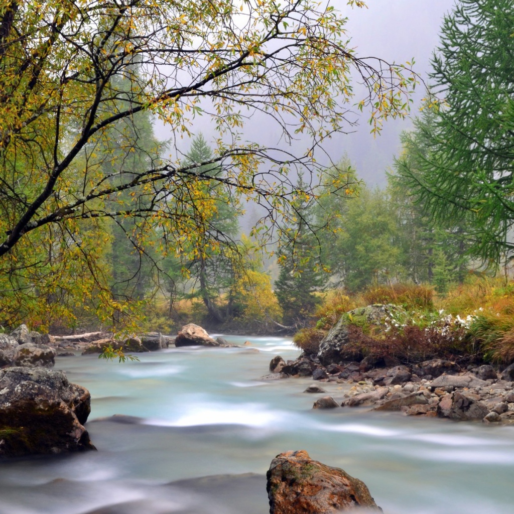 Ранняя осень на реке